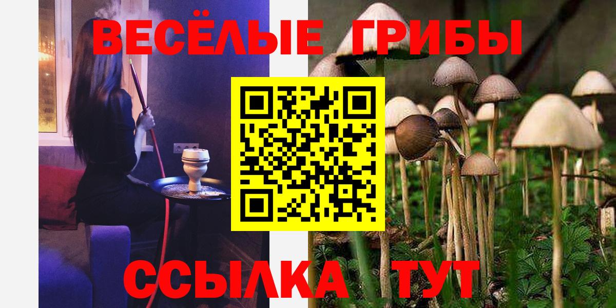 Псилоцибиновые грибы Psilocybe Александров