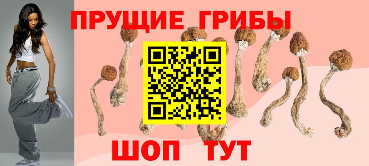 Александров  Галлюциногенные грибы MAGIC MUSHROOMS  Псилоцибиновые грибы MAGIC MUSHROOMS  Вход с VPN 